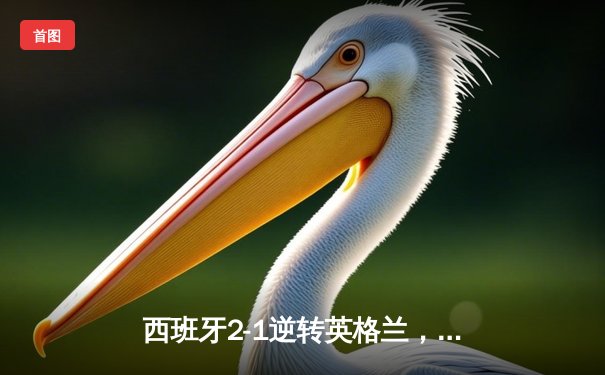 西班牙2-1逆转英格兰，第四次问鼎欧洲杯冠军